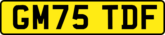 GM75TDF