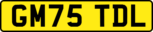 GM75TDL