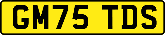 GM75TDS