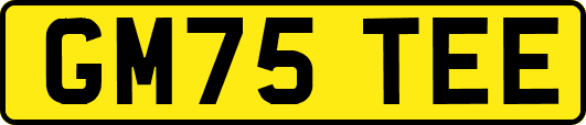 GM75TEE