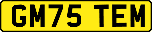 GM75TEM