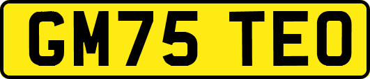 GM75TEO