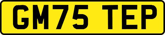 GM75TEP