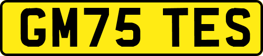 GM75TES