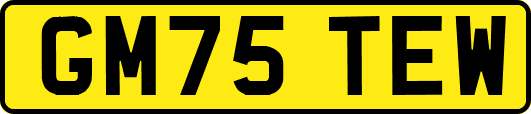 GM75TEW