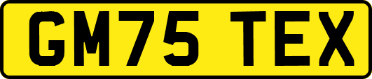 GM75TEX