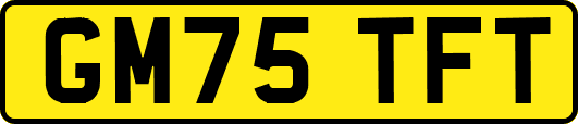 GM75TFT