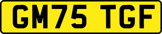 GM75TGF
