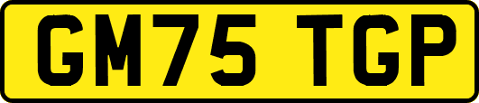 GM75TGP