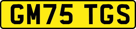 GM75TGS