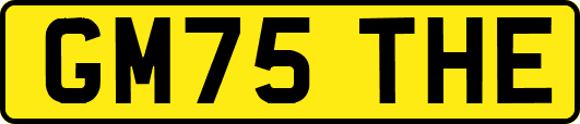 GM75THE