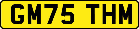 GM75THM