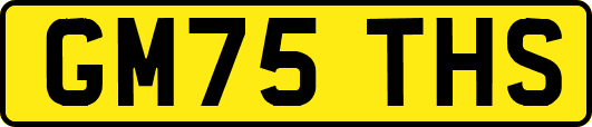 GM75THS