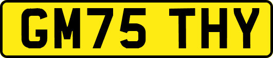GM75THY