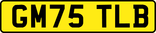 GM75TLB
