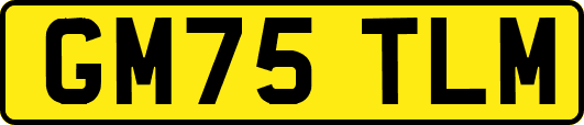 GM75TLM