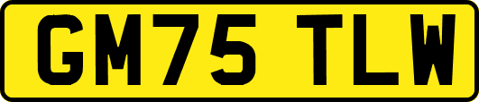 GM75TLW