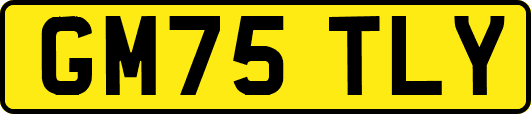 GM75TLY