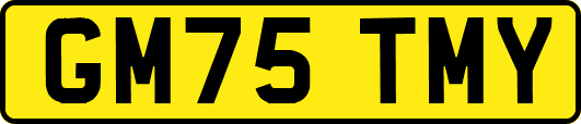 GM75TMY