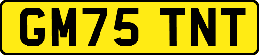 GM75TNT