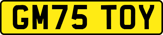 GM75TOY