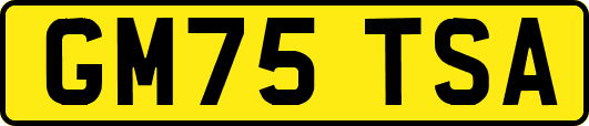 GM75TSA