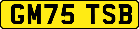 GM75TSB