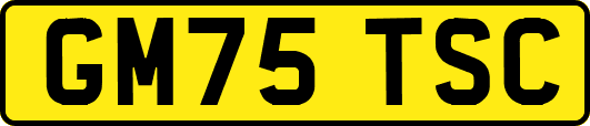 GM75TSC