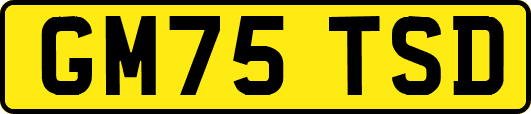 GM75TSD