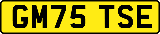 GM75TSE