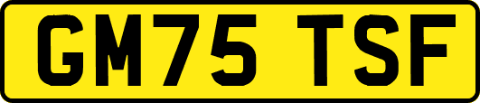 GM75TSF