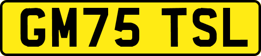 GM75TSL