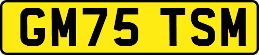 GM75TSM