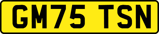 GM75TSN