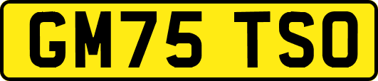 GM75TSO