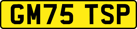 GM75TSP