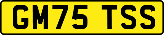 GM75TSS
