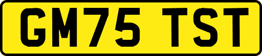 GM75TST