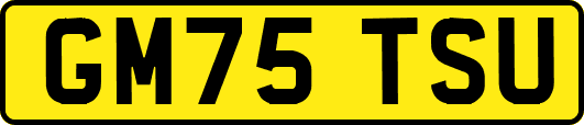 GM75TSU