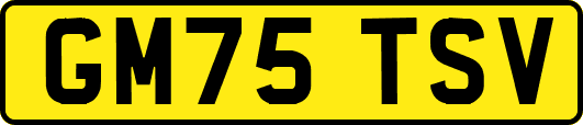 GM75TSV