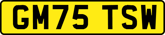 GM75TSW