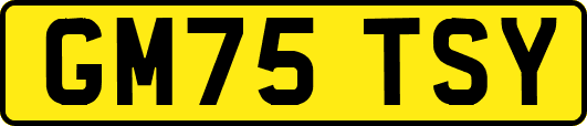 GM75TSY