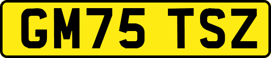 GM75TSZ