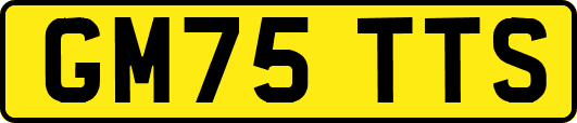 GM75TTS