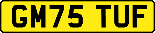 GM75TUF