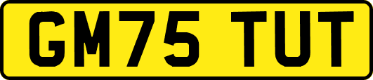 GM75TUT