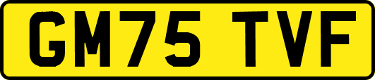 GM75TVF
