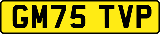 GM75TVP