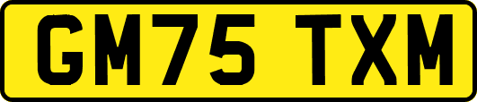 GM75TXM