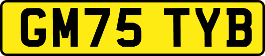 GM75TYB